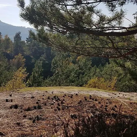 Chata Na Vrcholu Boreckých Skal *