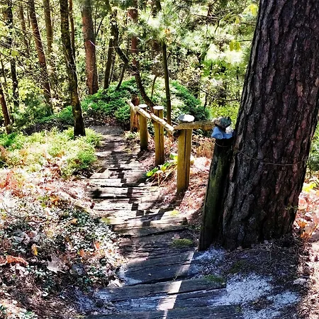 Na Vrcholu Boreckých Skal * Hnanice (Liberec)